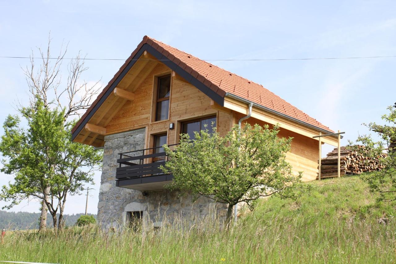 Le Chalet Des Pierres Viuz-en-Sallaz Luaran gambar